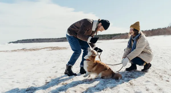 pet dog lifestyle winter snow